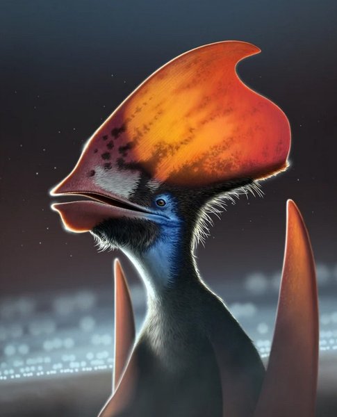 Птерозавр, Tupandactylus imperator