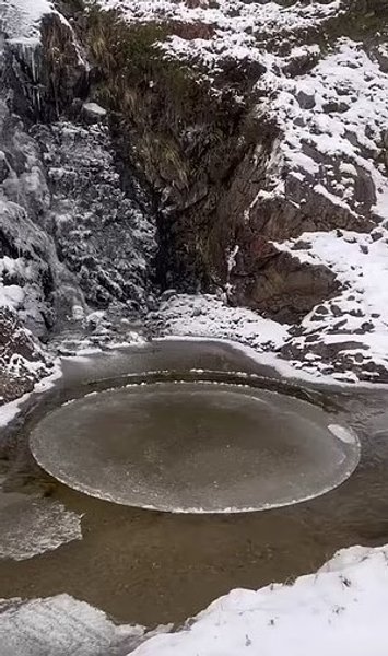 крижані кола