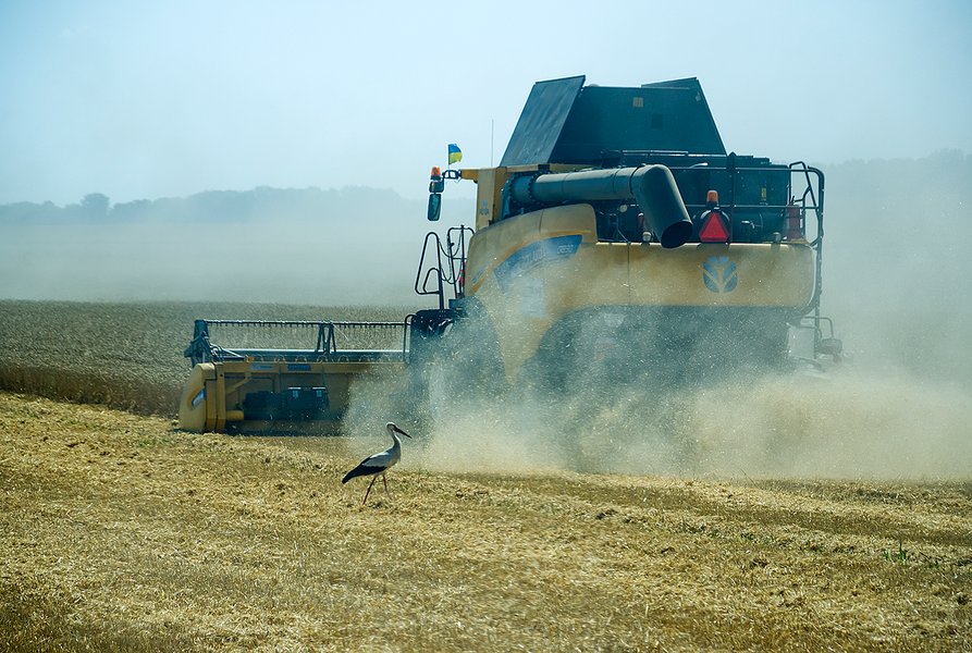 комбайн, поле