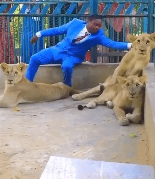 Мужчина в клетке со львами, пастор, проповедник, смотритель зоопарка, божественная защита, прихожане, вирусное видео