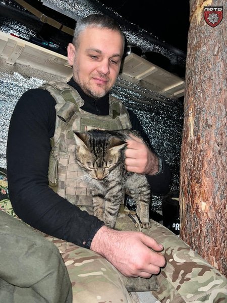 боевой кот, Марун, ОШБ НПУ "Ярость", коты на фронте, животные на фронте, военные коты