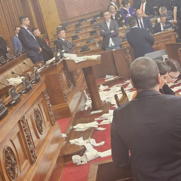 Сербия, туалетная бумага, парламент Сербии, Ана Брнабич qrxiquirriexatf