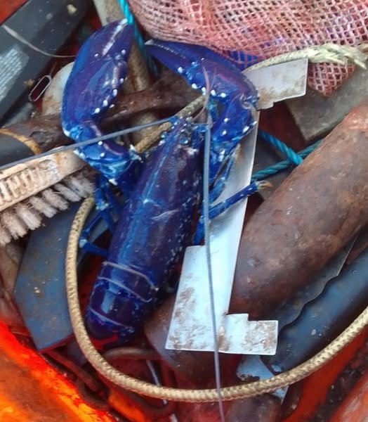 Третья встреча произошла 19 июня