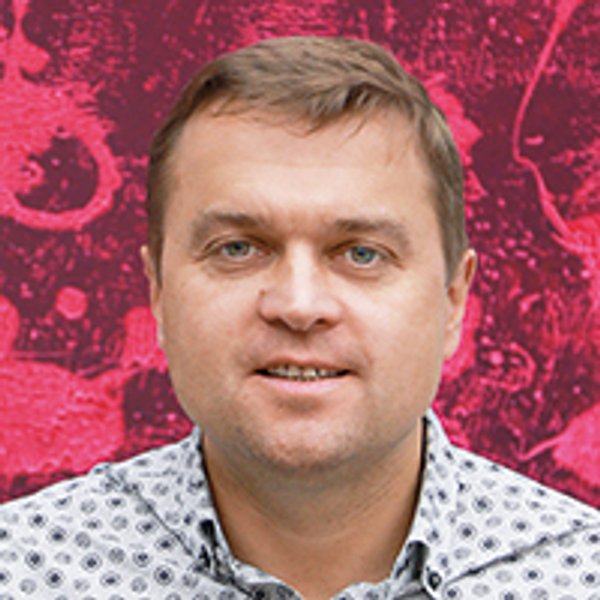 
Александр Хижняк
руководитель ІТ-проектов направления "Агробизнес" компании "Кернел"
