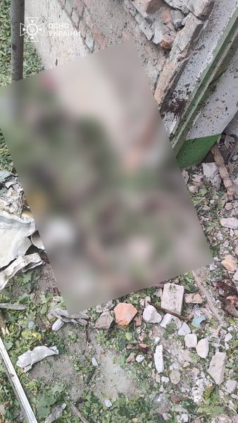 Изображение тела человека