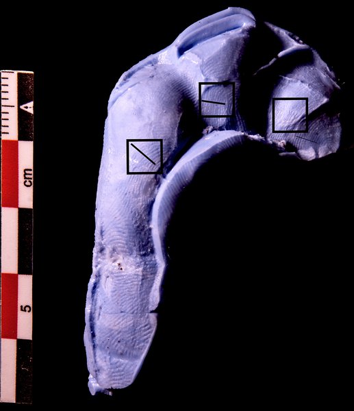 археологія, археологи, фігурки, статуетки, відбитки, діти, жінки, виробництво, глина, Єгипет, виріб, ремісники, артефакт, дослідження, аналіз