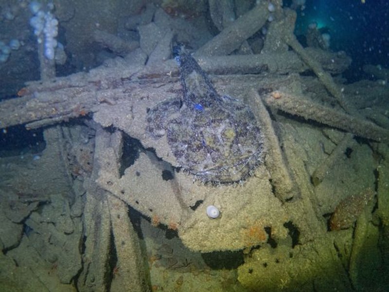 обломки, корабль, вода, фото