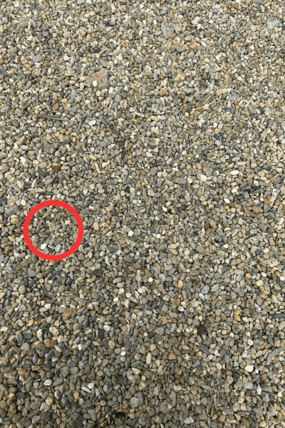 Визуален пъзел Визуален пъзел, пате, камъни и камъчета, тест, задача, пъзел, бряг, плаж,