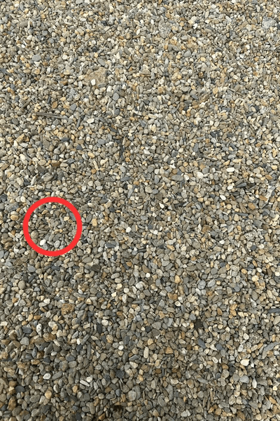 Визуальная головоломка, утка, камни и галька, тест, задача, головоломка, берег, пляж,