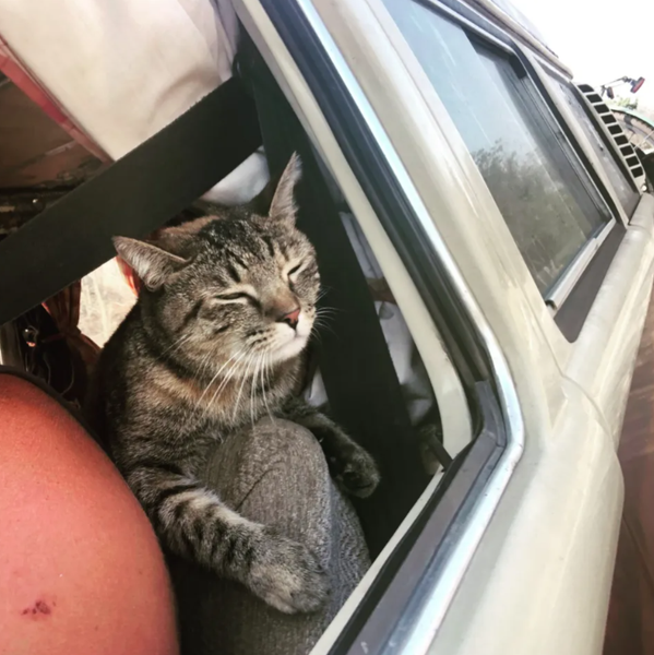 Учителя путешествуют по миру, дом на колесах, путешествия, отдых, стиль жизни, США, фото