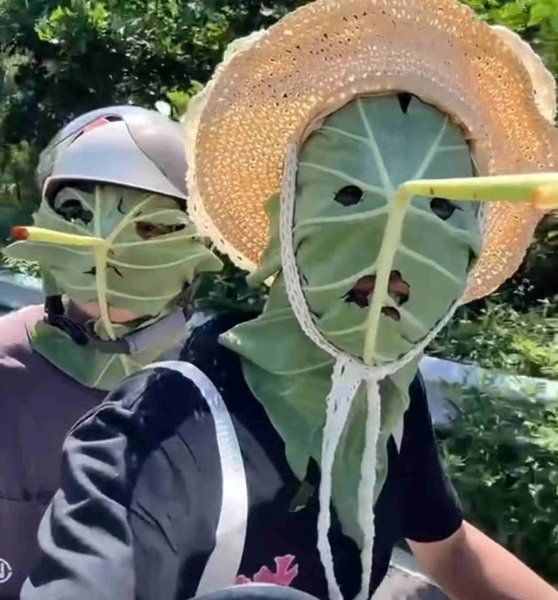 Водитель и пассажир скутера в масках из листьев лотоса