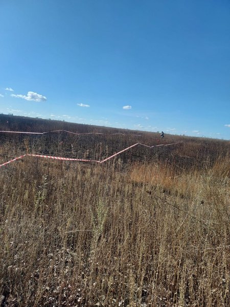Поле в селе Грабово, поле, село, Харьковская область