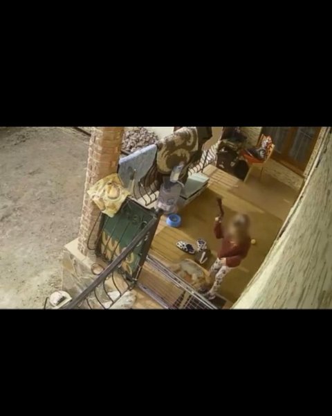 Момент убийства собаки