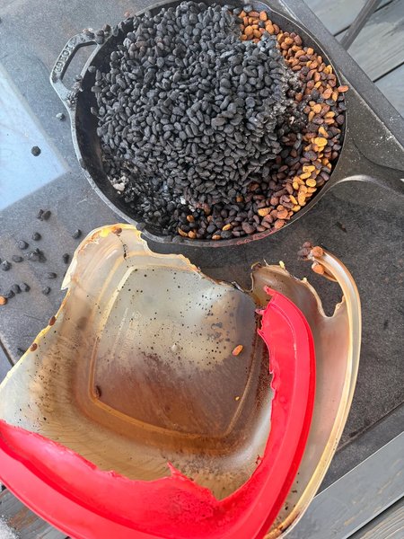 миска кот пластик