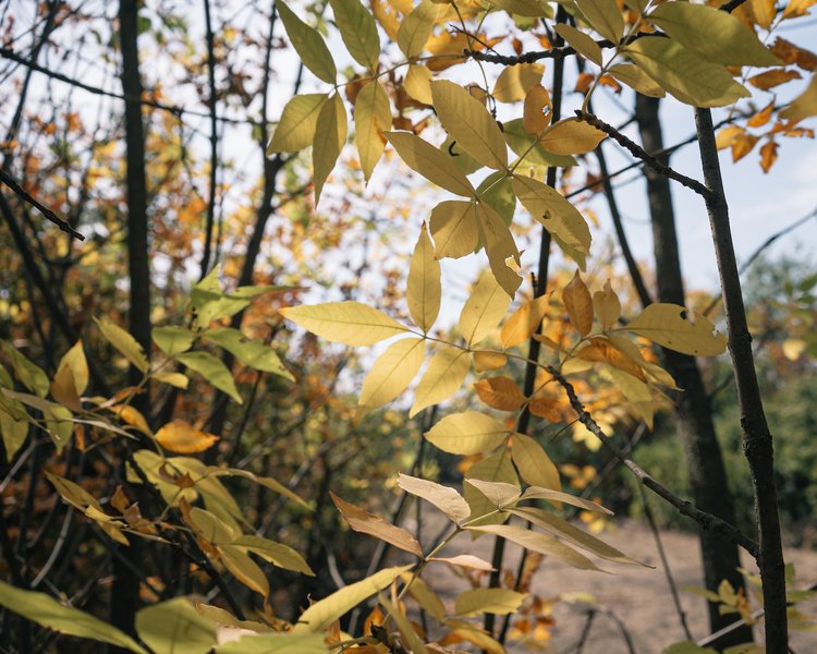 ВСУ, Донбасс