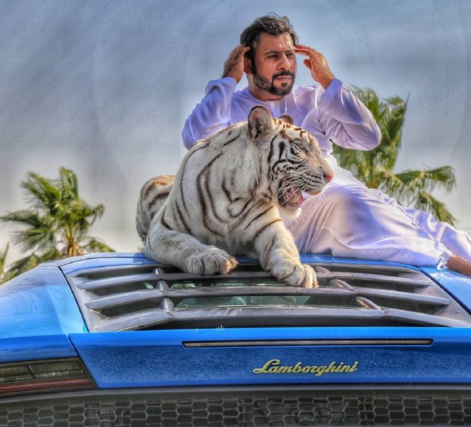 Lamborghini Huracan, авто шейхов, разбитый Lamborghini, частный зоопарк