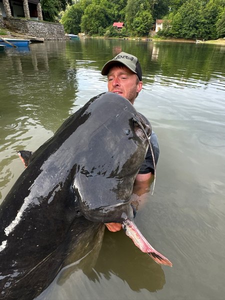 Вагнер і його великий сом