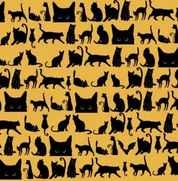 Визуальная головоломка, силуэты, проверка зрения, проверка внимательности, орлиное зрение, Хэллоуин, орлиное зрение