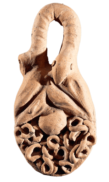 Ученые нашли анатомические модели