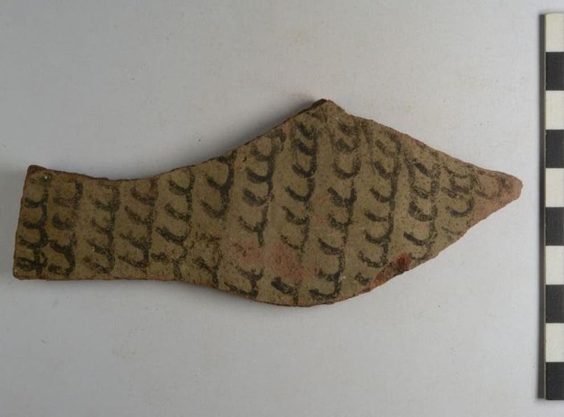 Фото: University of Tübingen