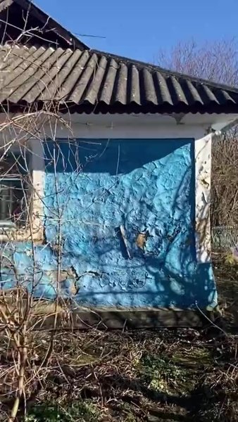 Дом в деревне, обзор