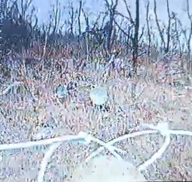 Антена ЗС РФ