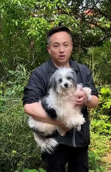 Собака 2 года ходила на могилу своей хозяйки, как сложилась его судьба