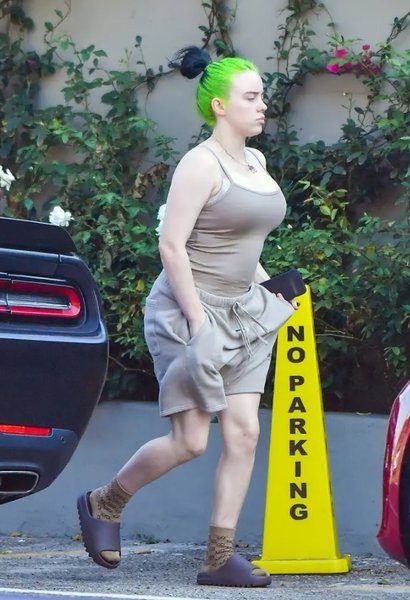 билли айлиш, майка, папарацци, фото