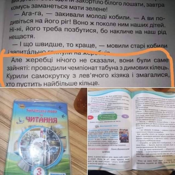 учебник, образование, реформа, ляп, курьез, минобразования, программа, школьная