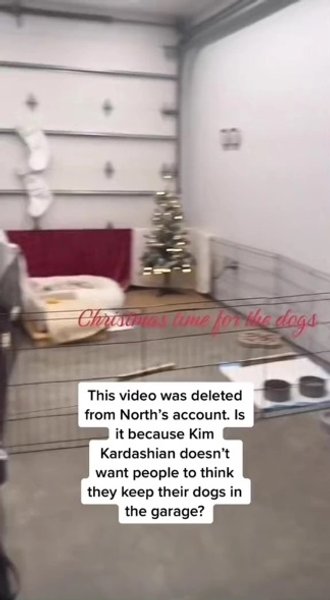 ким кардашьян шпиц, собаки ким кардашьян, гараж, ким кардашьян