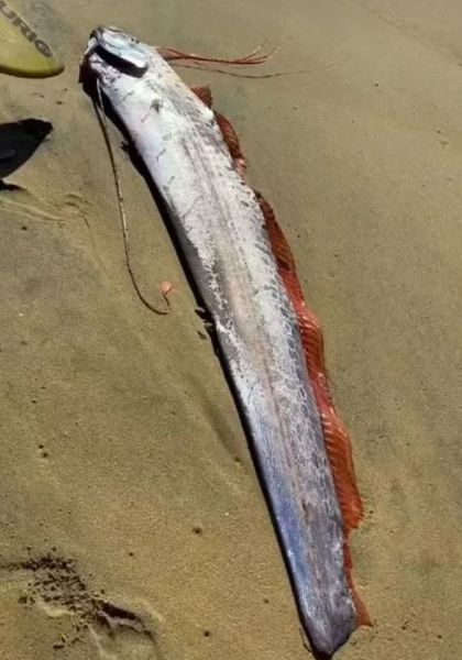 Предвестник катастрофы в Мексике, что напугало местных жителей, мистические истории