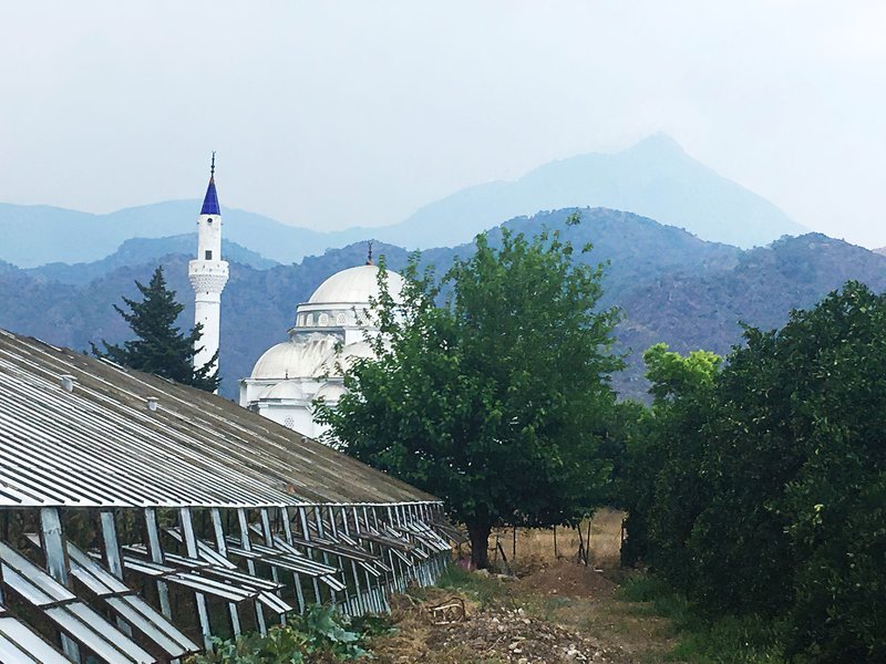Удачная локация. С трех сторон поселок Чиралы окружен горами, здесь проходит часть Ликийской тропы
