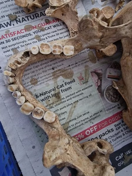 останки, поховання, знахідки