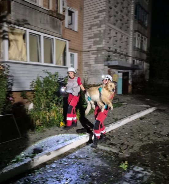 В Вышгороде работали спасатели из-за атаки РФ 2-3 веерсня