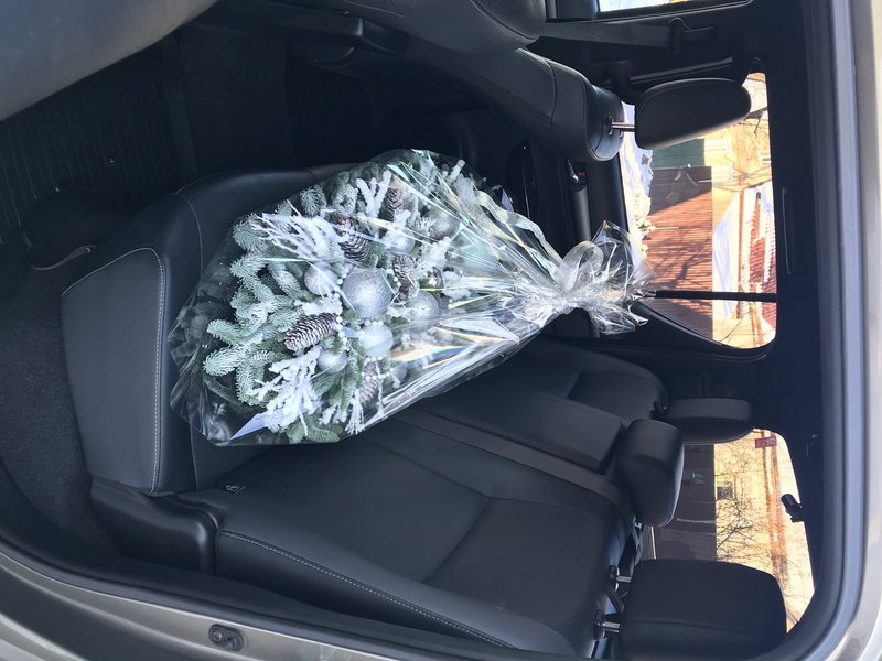 задний ряд в пикапе Toyota Hilux, оснащение Toyota Hilux, интерьер Toyota Hilux, тест-драйв Toyota Hilux