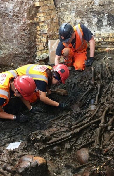 скелеты скелеты людей, эксперты, раскопки, фото