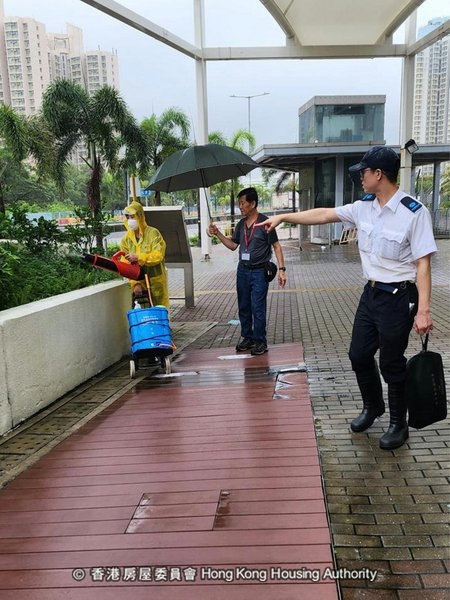 вирус чикунгунья, китай