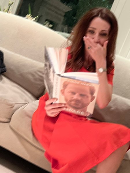 Двойник Кейт Миддлтон, мемуары принца гарри