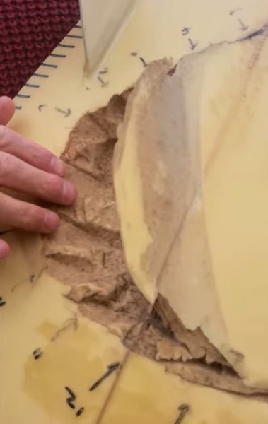 Следы от челюстей акулы на доске