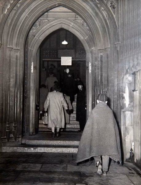 прощание с королевой, королевские похороны, похороны королевы, королева елизавета 2, последний скорбящий