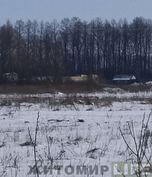 СНБО, Нефтепровод, Виктор Медведчук