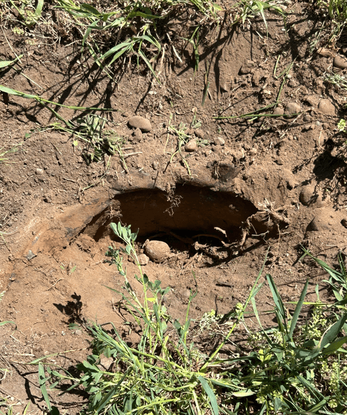 Мужчина с металлоискателем, хобби, поиск предметов, необычная находка, старый колодец, выгребная яма,