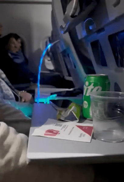 Жена в самолет, пътник, подлудява пътниците, арогантен пътник, ярко зарядно, пътници в самолета, полет