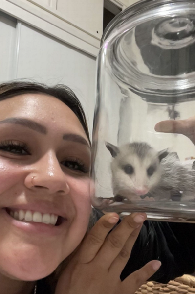 Жінка знайшла в будинку опосума, дикий звір пробрався в оселю американки, курйози з тваринами
