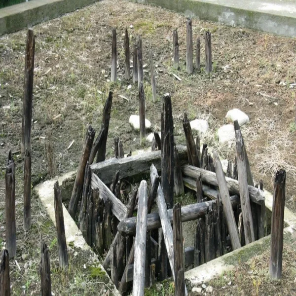 фундамент, сваи, дерево, сооружение, раскопки, археология