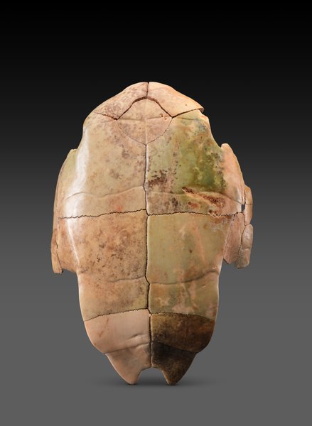 находки династии Шан, провинция Шэньси, северный Китай, остатки колесниц поздней династии Шан, бронзовые артефакты, археология, бронзовая цивилизация, династии Шан, находка, артефакты, история, раскопки