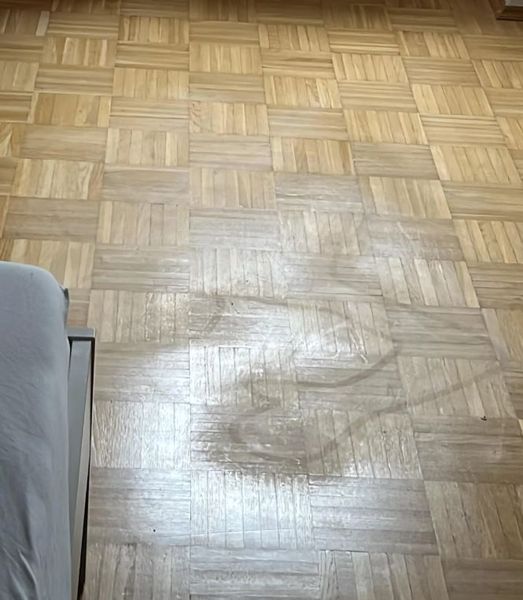 Аренда жилья, недвижимость, жилье, интересные истории из жизни, странные случаи, скандалы с арендаторами, США