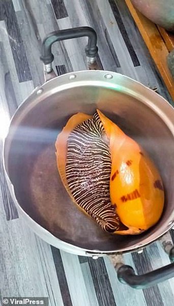 дальнобойщик, таиланд, жемчужина, жемчуг мело