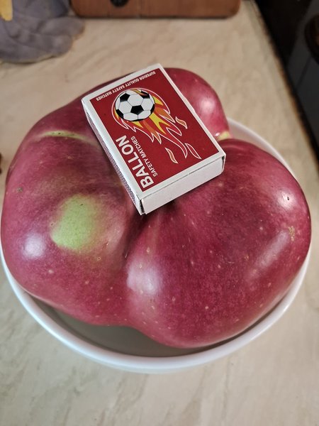 яблуко рекорд України 1