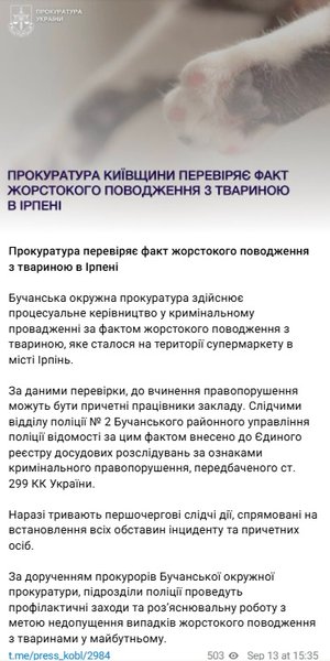 Убийство кота Бегемота расследуют правоохранители